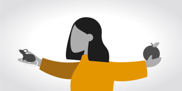 Illustration representing the manipulation tactic: Creating False Connections