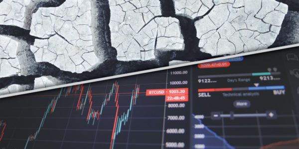 Illustration representing profit versus protection